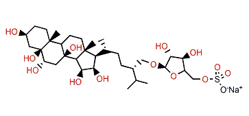 Planciside F